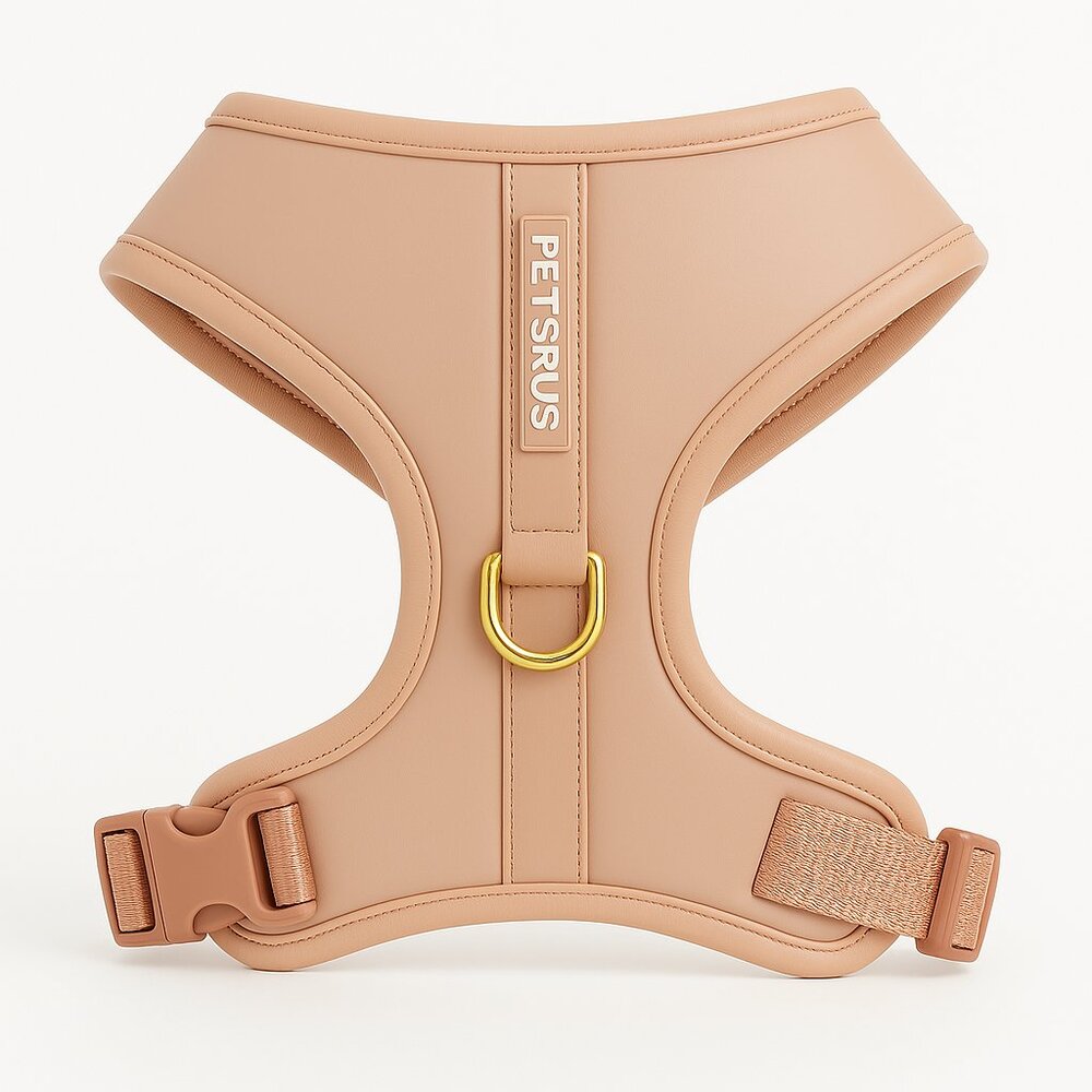 PETsRUS Premium No Pull Dog Harness 2 Leash Clips Beige Leather Neoprene Gold